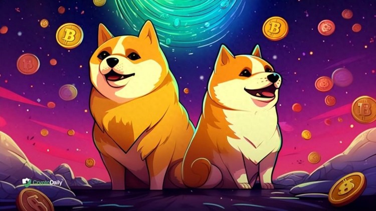 狗狗币（DOGE）和柴犬（SHIB）比特币是节日的两倍，远远落后