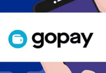 什么是gopay？